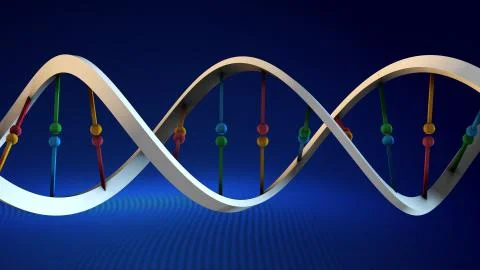 DNA-orizontal-flat color Stock Illustration