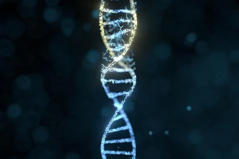 DNA particles and diffused glowing lines, 3d rendering. Stock-Illustration