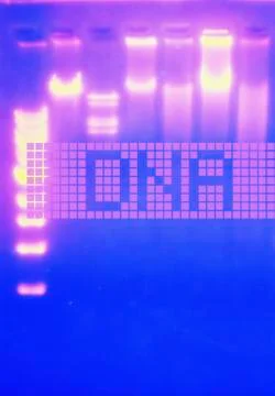 DNA pattern, studio shot 库存照片