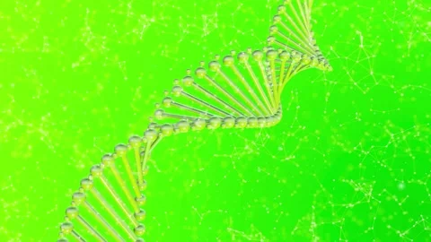 Dna Plexus Vidéo 154316167