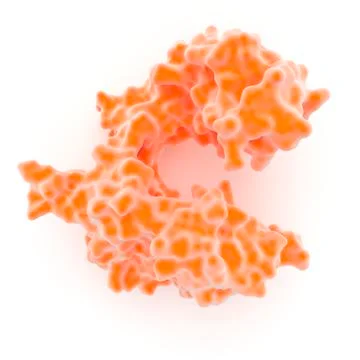 Dna polymerase Stock Illustration