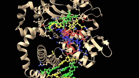 DNA polymerase μ reactant complex, 10 mM Mg2+, at 7.5-45 min Stock Footage 147079656