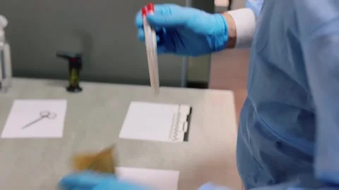 DNA profile, samples in the hands of a lab technician Stock Footage 311106921