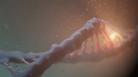 DNA reconstruction, evolution, and modification. 3D visualization of a DNA Stock Footage 308409648