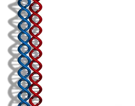 DNA red blue Stock Illustration