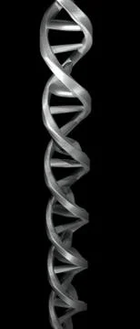 DNA Rendering Stock Illustration