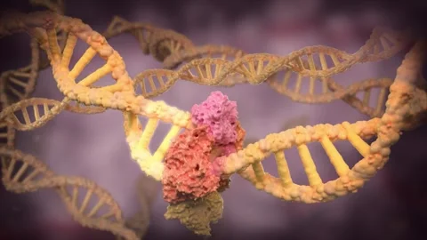 DNA repair and genetics correct gene mismatches. Stock Footage 345200015
