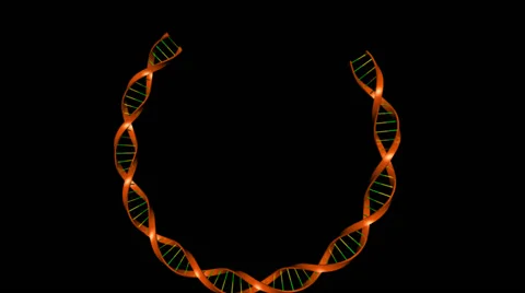 DNA REPLICATION Stock Footage 43059034