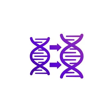 DNA replication icon on white Stock Illustration