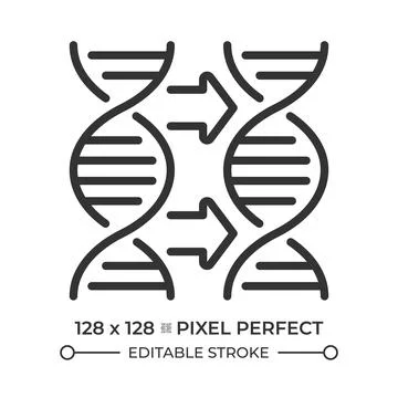DNA replication pixel perfect simple line icon Stock Illustration