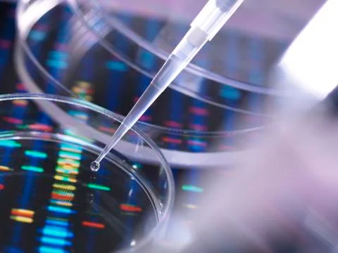 DNA research Foto stock