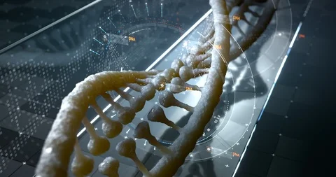 Dna research. seamless loopable 3d animation. 4k uhd 스톡 동영상 85628913