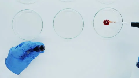  DNA research. Top view. Stock Footage 149176997