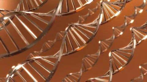DNA ribbons - Orange Stock Footage 797425