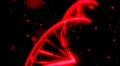 DNA RNA double helix slow tracking shot closeup depth of field DOF red HD Footage