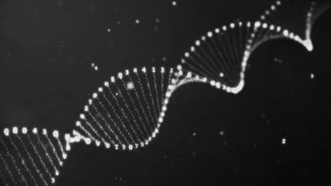 DNA rotation from hexadecimal code 3d illustration Stock Photos