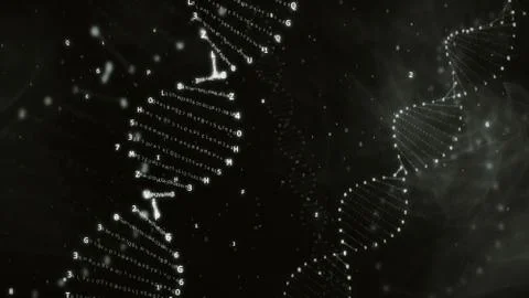DNA rotation from hexadecimal code 3d illustration 库存照片
