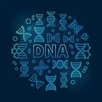 DNA round vector science blue illustration Stock Illustration