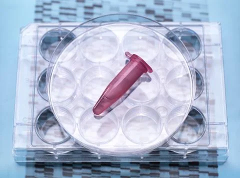 DNA sample inside vial on multi well plate, DNA gel showing results Photos