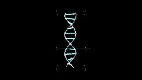 DNA scan animation findind best matches pattern Stock Footage 323174249