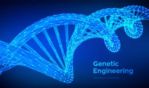 DNA sequence. Abstract 3d polygonal wireframe DNA molecules structure mesh. D 스톡 일러스트
