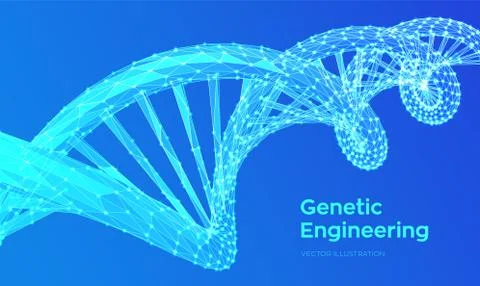 DNA sequence. Abstract 3d polygonal wireframe DNA molecules structure mesh. D 스톡 일러스트