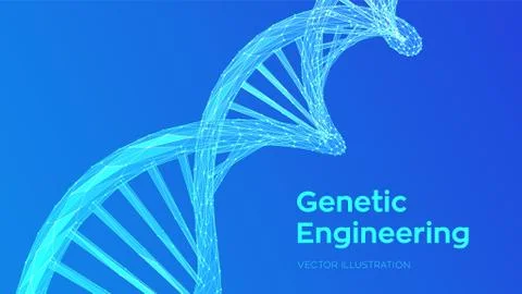 DNA sequence. Abstract 3d polygonal wireframe DNA molecules structure mesh. D Stock Illustration