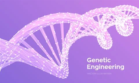 DNA sequence. Abstract 3d polygonal wireframe DNA molecules structure mesh. D Stock Illustration