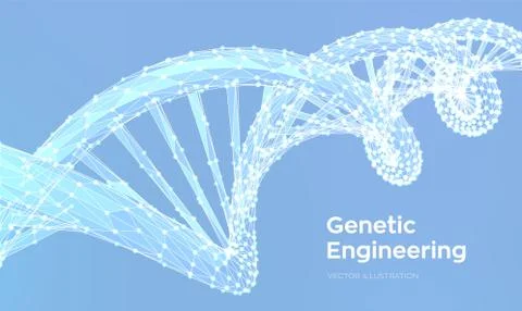 DNA sequence. Abstract 3d polygonal wireframe DNA molecules structure mesh. D Stock Illustration