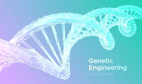 DNA sequence. Abstract 3d polygonal wireframe DNA molecules structure mesh. D Stock Illustration