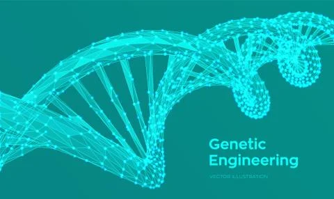 DNA sequence. Abstract 3d polygonal wireframe DNA molecules structure mesh. D Stock Illustration