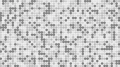DNA Sequence AGCT Letter Pattern Background Stock Footage 304776388