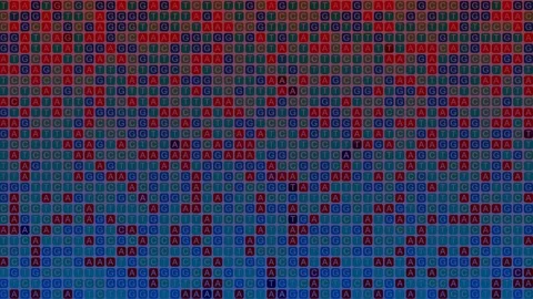 DNA Sequence AGCT Letter Pattern Background Stock Footage 304776399
