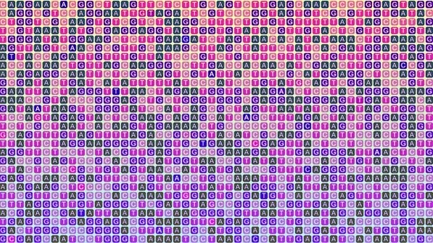DNA Sequence AGCT Letter Pattern Background Stock Footage 304776476