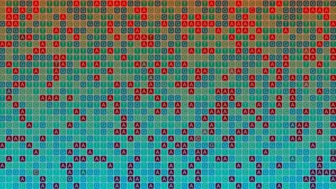 DNA Sequence AGCT Letter Pattern Background Stock Footage 304776488