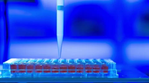 Dna sequence analysis of the ebola virus. pcr technology Stock Footage