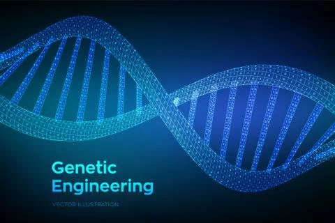 DNA sequence. Concept binary code human genome. Wireframe digital DNA molecules 스톡 일러스트