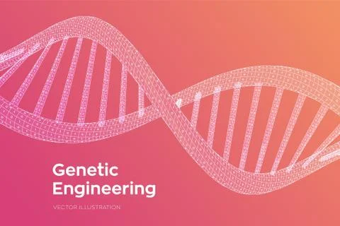 DNA sequence. Concept binary code human genome. Wireframe digital DNA molecul Stock Illustration