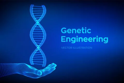 DNA sequence in hand. Wireframe DNA molecules structure mesh. DNA code editab Illustration
