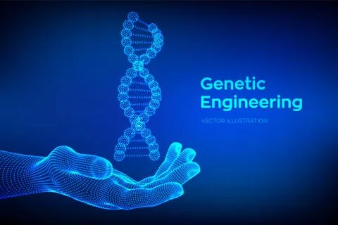 DNA sequence in hand. Wireframe DNA molecules structure mesh. DNA code editab Illustrazione stock