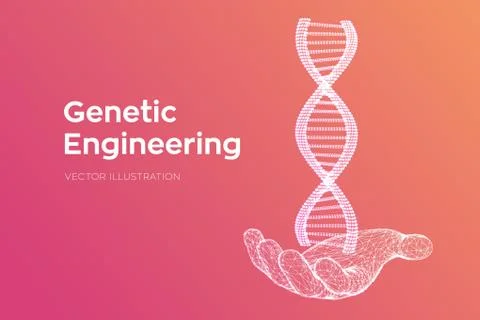 DNA sequence in hand. Wireframe DNA molecules structure mesh. DNA code editab Illustrazione stock