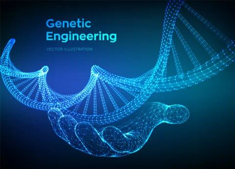DNA sequence in hand. Wireframe DNA molecules structure mesh. DNA code editab Illustrazione stock