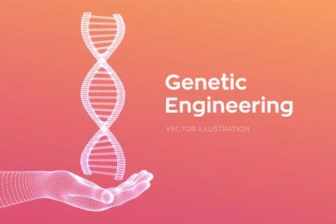 DNA sequence in hand. Wireframe DNA molecules structure mesh. DNA code editab Illustrazione stock