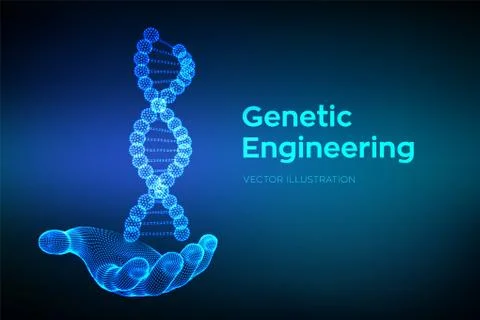DNA sequence in hand. Wireframe DNA molecules structure mesh. DNA code editab Illustrazione stock