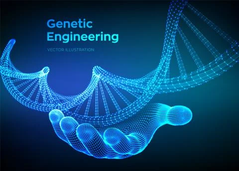 DNA sequence in hand. Wireframe DNA molecules structure mesh. DNA code editab Illustrazione stock