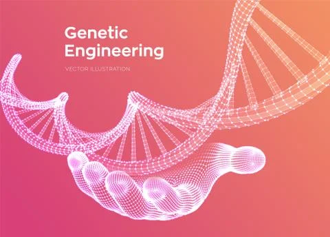 DNA sequence in hand. Wireframe DNA molecules structure mesh. DNA code editab Illustrazione stock