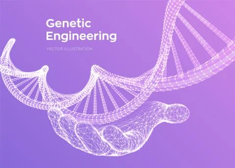 DNA sequence in hand. Wireframe DNA molecules structure mesh. DNA code editab Illustrazione stock