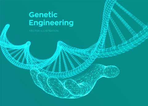 DNA sequence in hand. Wireframe DNA molecules structure mesh. DNA code editab Illustrazione stock