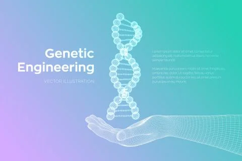 DNA sequence in hand. Wireframe DNA molecules structure mesh. DNA code editab Illustrazione stock