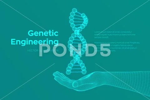 Dna Sequence In Hand. Wireframe Dna Molecules Structure Mesh. Dna Code 